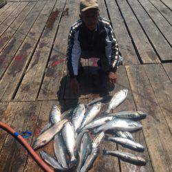 釣り堀水宝 釣果