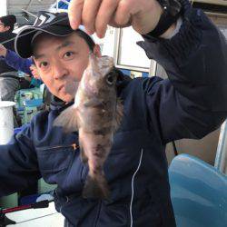 ヤザワ渡船 釣果