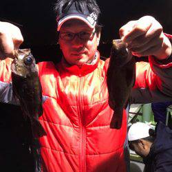 ヤザワ渡船 釣果