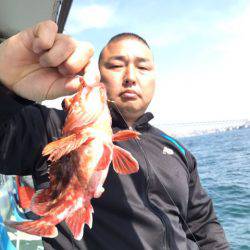 ヤザワ渡船 釣果