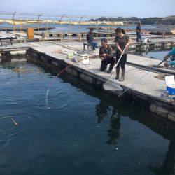 釣り堀水宝 釣果