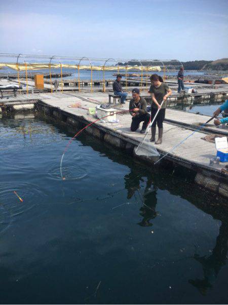 釣り堀水宝 釣果