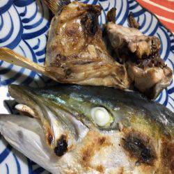 末広丸(熊本) 釣果