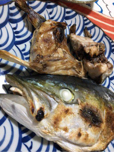 末広丸(熊本) 釣果