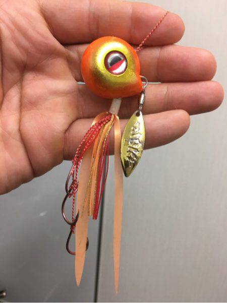 末広丸(熊本) 釣果