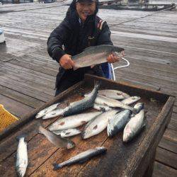釣り堀水宝 釣果