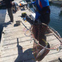釣り堀水宝 釣果