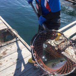 釣り堀水宝 釣果