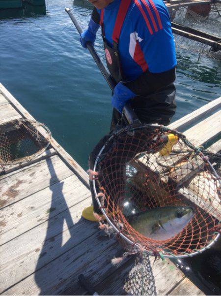 釣り堀水宝 釣果