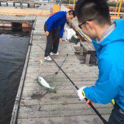 釣り堀水宝 釣果