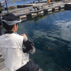 釣り堀水宝 釣果