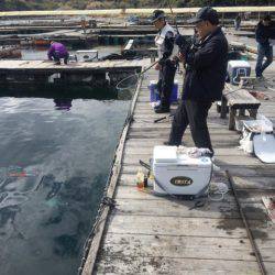 釣り堀水宝 釣果