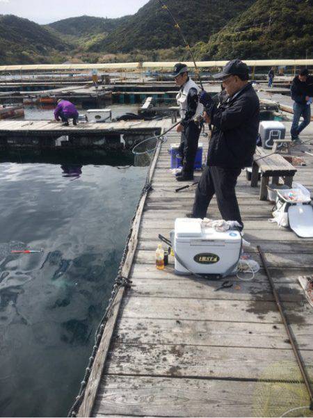 釣り堀水宝 釣果