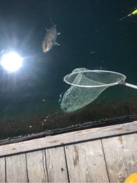 釣り堀水宝 釣果