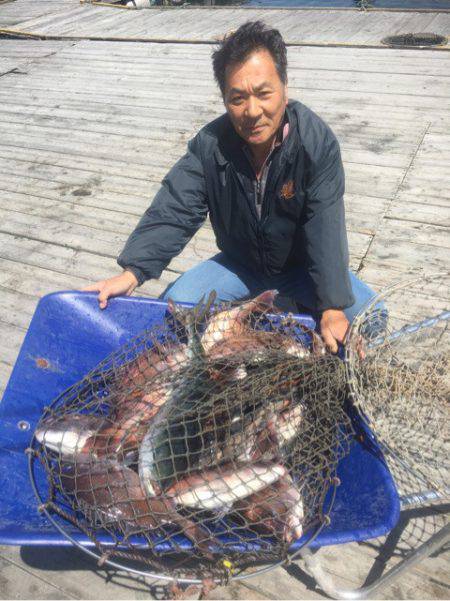 釣り堀水宝 釣果
