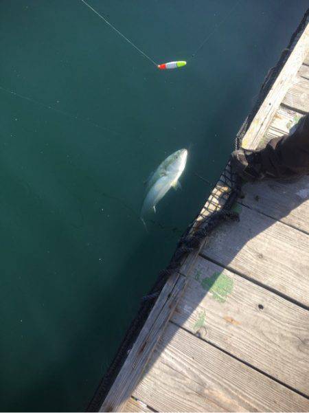 釣り堀水宝 釣果