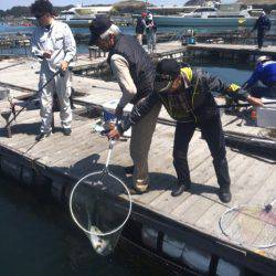 釣り堀水宝 釣果