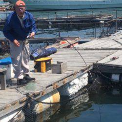 釣り堀水宝 釣果