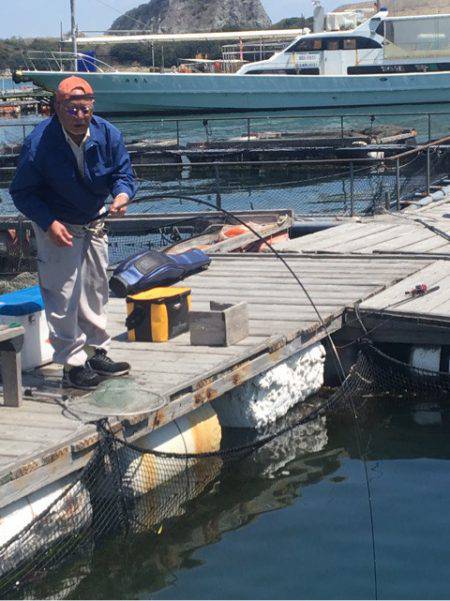 釣り堀水宝 釣果