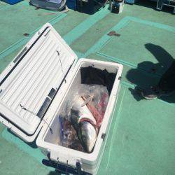 釣り堀水宝 釣果