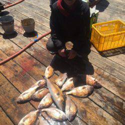 釣り堀水宝 釣果