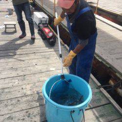 釣り堀水宝 釣果