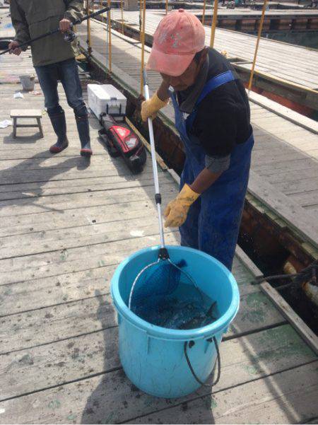 釣り堀水宝 釣果