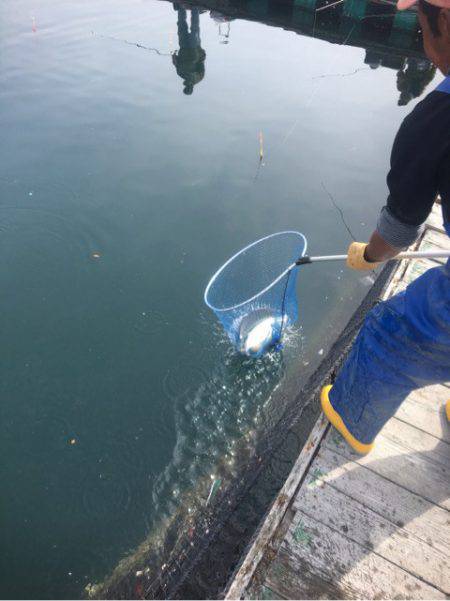 釣り堀水宝 釣果