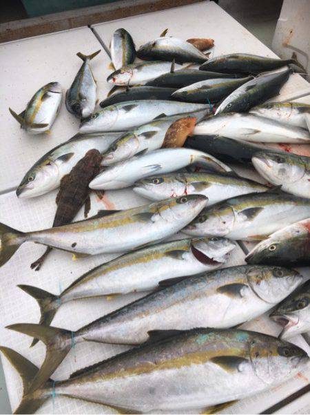 海楽隊 華栞丸 釣果