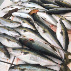 海楽隊 華栞丸 釣果