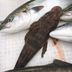 海楽隊 華栞丸 釣果