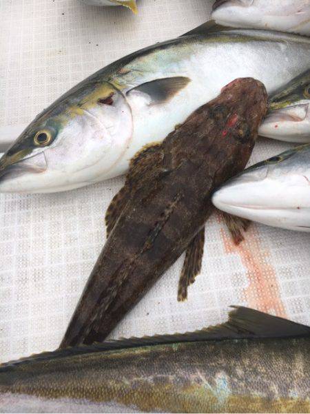 海楽隊 華栞丸 釣果