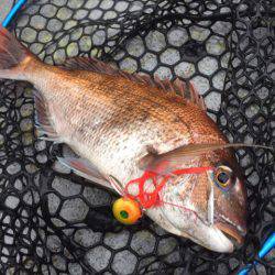 第二 海洋丸 釣果