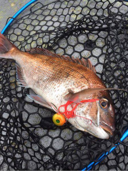 第二 海洋丸 釣果