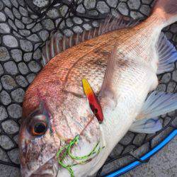 第二 海洋丸 釣果