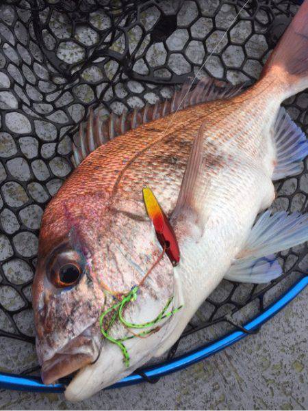 第二 海洋丸 釣果