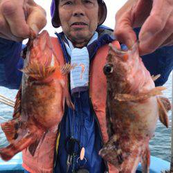 ヤザワ渡船 釣果