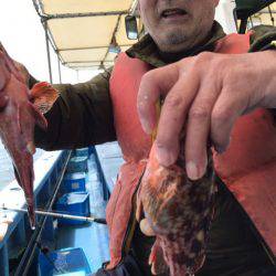 ヤザワ渡船 釣果