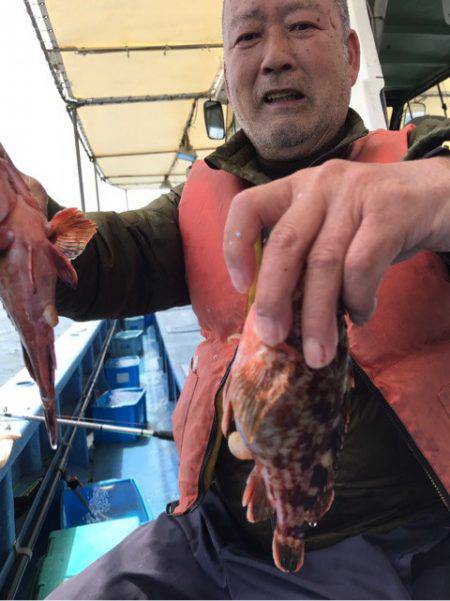 ヤザワ渡船 釣果