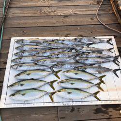 Monster Rush! 釣果