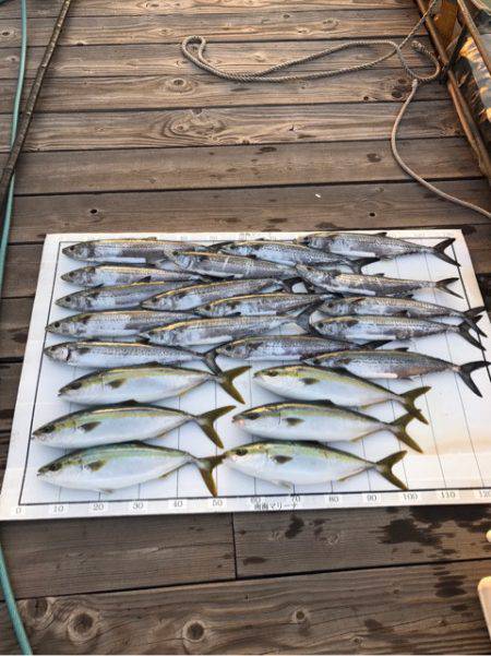 Monster Rush! 釣果