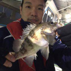 ヤザワ渡船 釣果