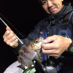 ヤザワ渡船 釣果