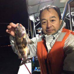 ヤザワ渡船 釣果