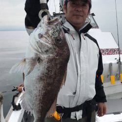 釣鯛洋 釣果