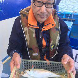 ヤザワ渡船 釣果