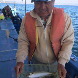 ヤザワ渡船 釣果