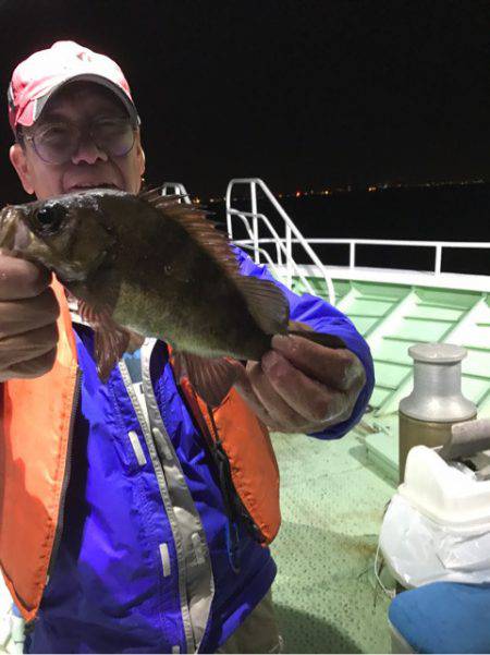 ヤザワ渡船 釣果