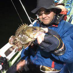 ヤザワ渡船 釣果