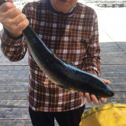 釣り堀水宝 釣果